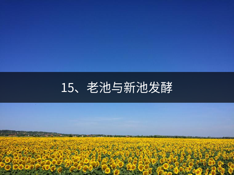 15、老池與新池發(fā)酵