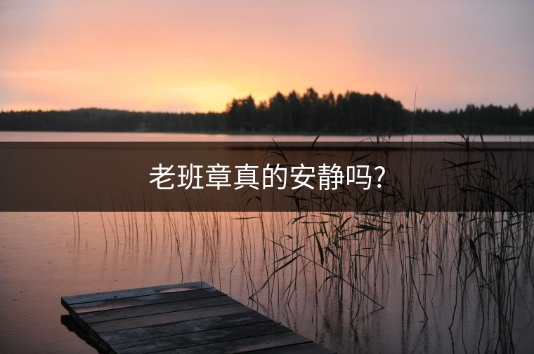 老班章真的安靜嗎?