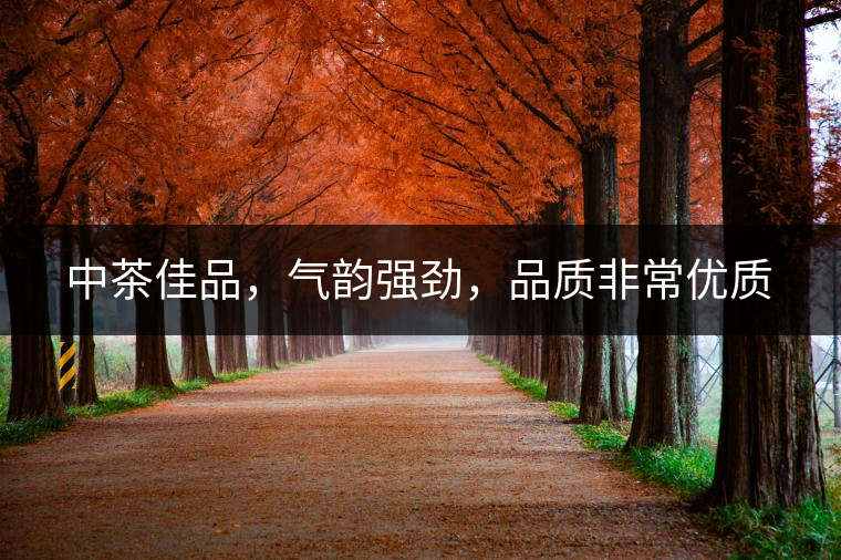 中茶佳品，氣韻強(qiáng)勁，品質(zhì)非常優(yōu)質(zhì)