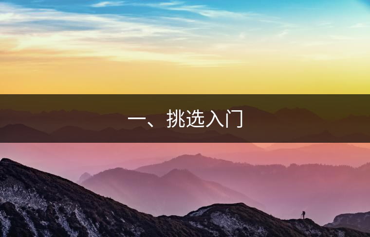 一、挑選入門