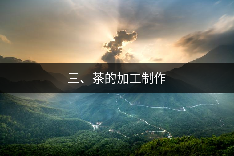 三、茶的加工制作