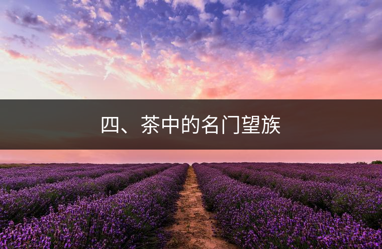四、茶中的名門望族