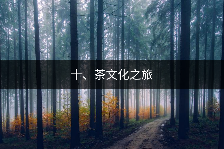 十、茶文化之旅