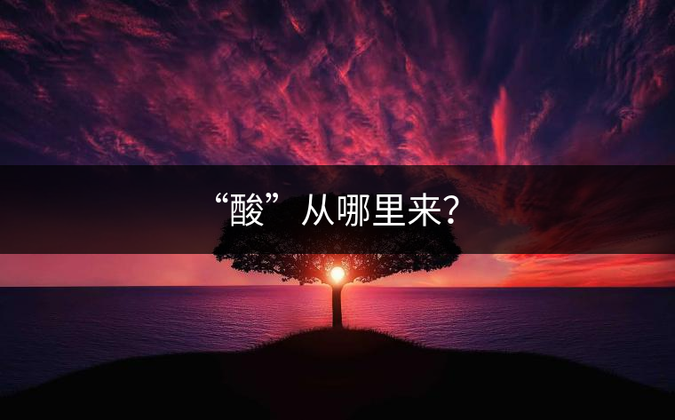 “酸”從哪里來(lái)？