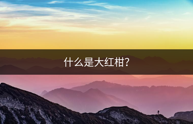 什么是大紅柑？