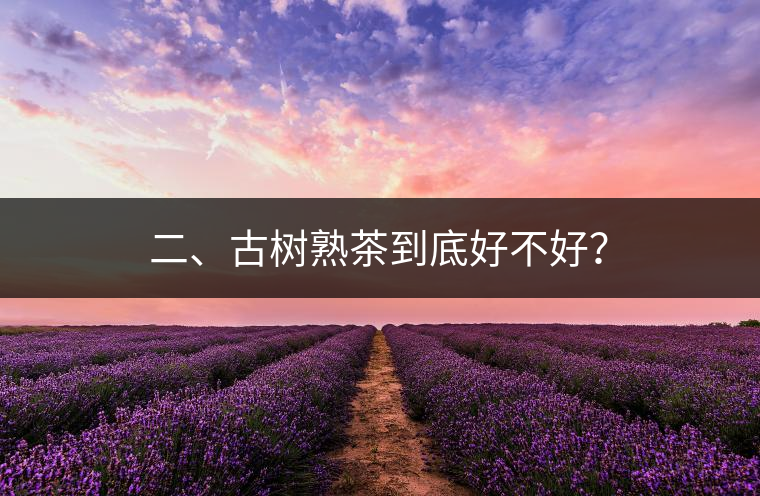 二、古樹(shù)熟茶到底好不好？