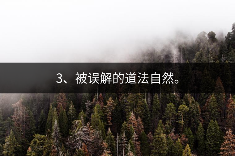 3、被誤解的道法自然。