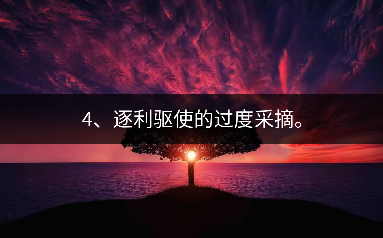 4、逐利驅(qū)使的過度采摘。