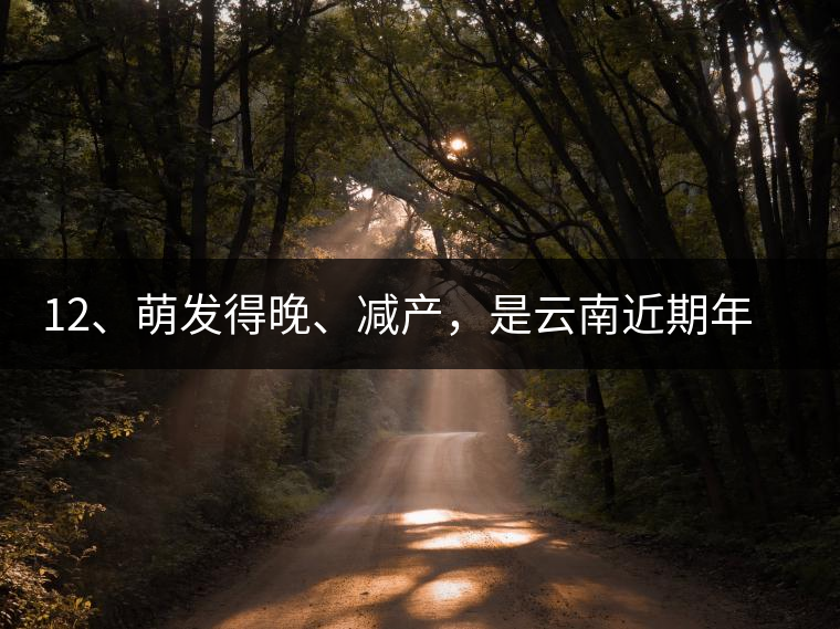 12、萌發(fā)得晚、減產(chǎn)，是云南近期年氣候變化在茶樹上的延遲反映。