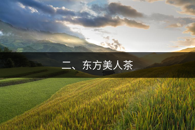 二、東方美人茶