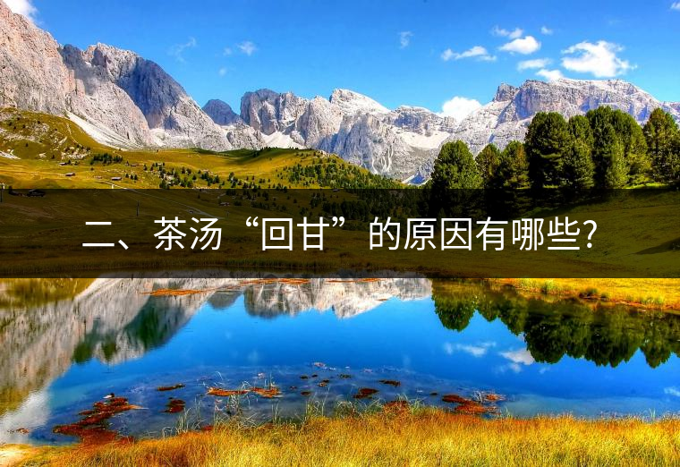 二、茶湯“回甘”的原因有哪些?