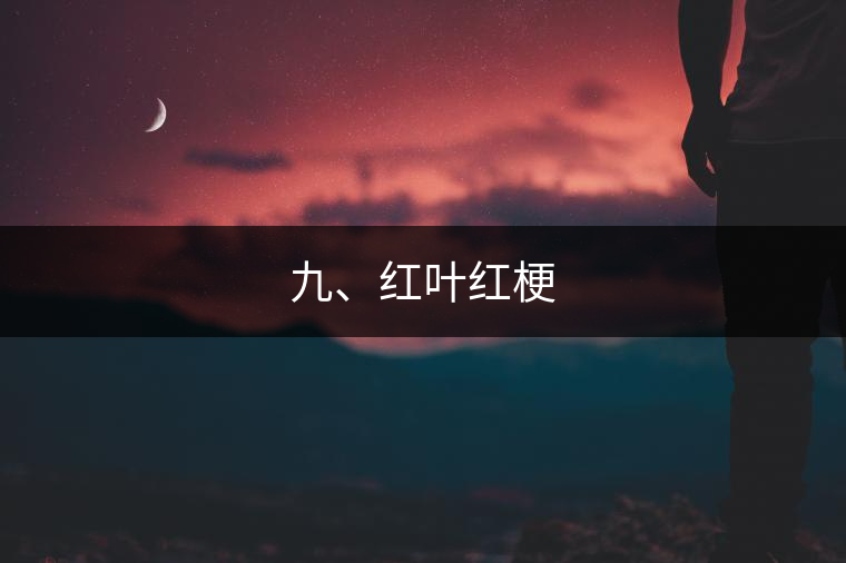 九、紅葉紅梗