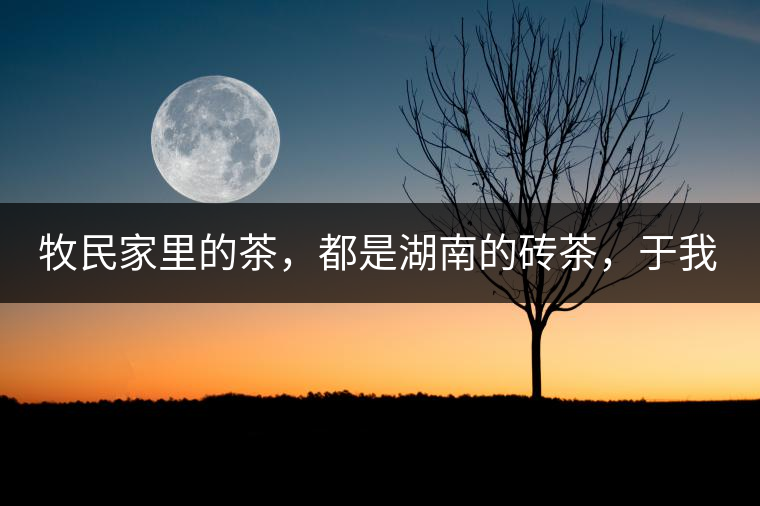 牧民家里的茶，都是湖南的磚茶，于我們而言不見得有多好，它們粗糙得看可見茶梗和樹枝，但于他們來說，卻是每日的生活必需品。端到桌上的茶碗，也是缺了口鋦過青花瓷碗，聞得見修補(bǔ)后的手溫，喝下加過鹽巴的磚茶，一身暖意，融化了深藏在發(fā)底的冰屑，溫暖著身心。