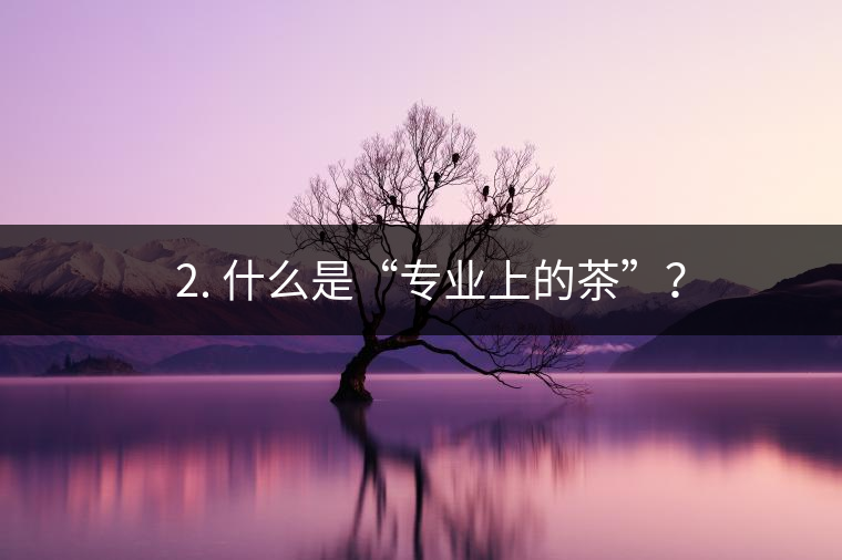 ? 2. 什么是“專業(yè)上的茶”？