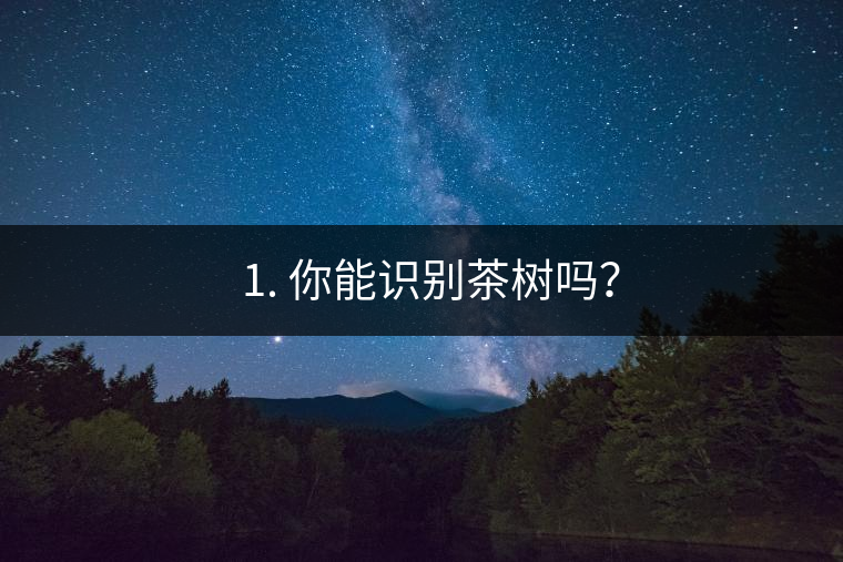 ??1. 你能識別茶樹嗎？