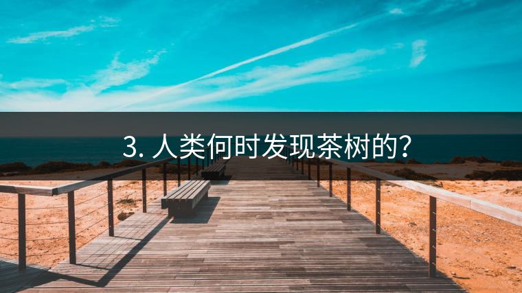 ? 3. 人類何時發(fā)現(xiàn)茶樹的？