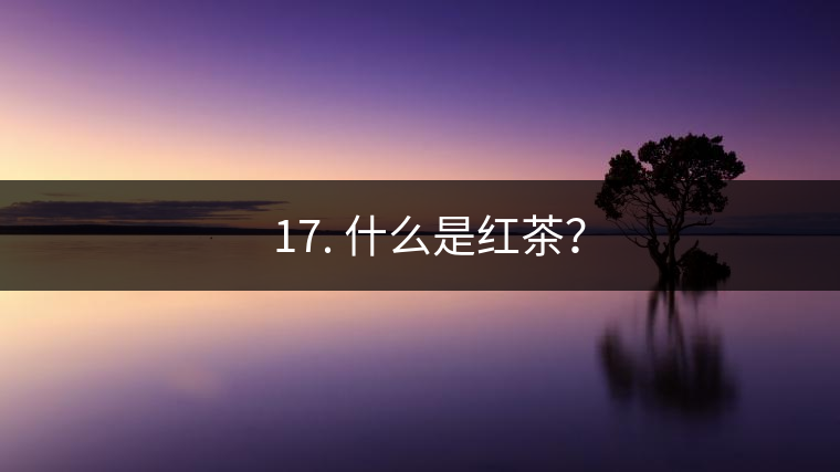 ? 17. 什么是紅茶？
