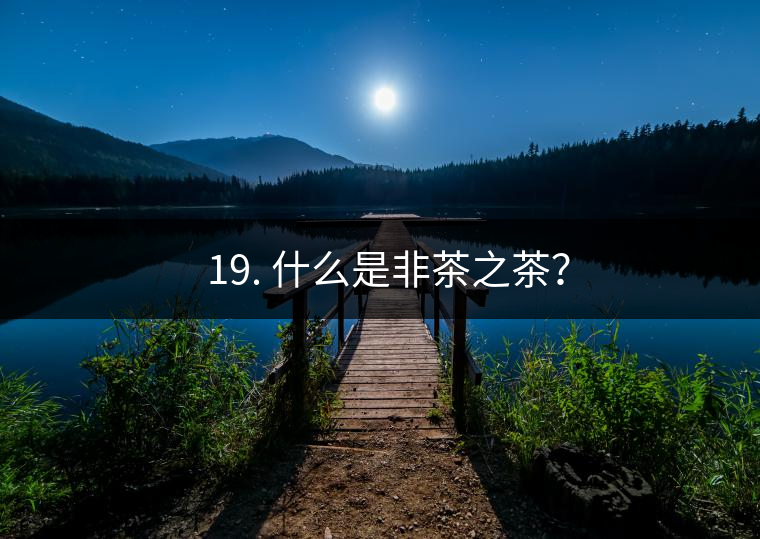 ? 19. 什么是非茶之茶？