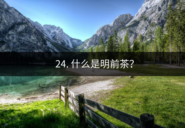 ? 24. 什么是明前茶？