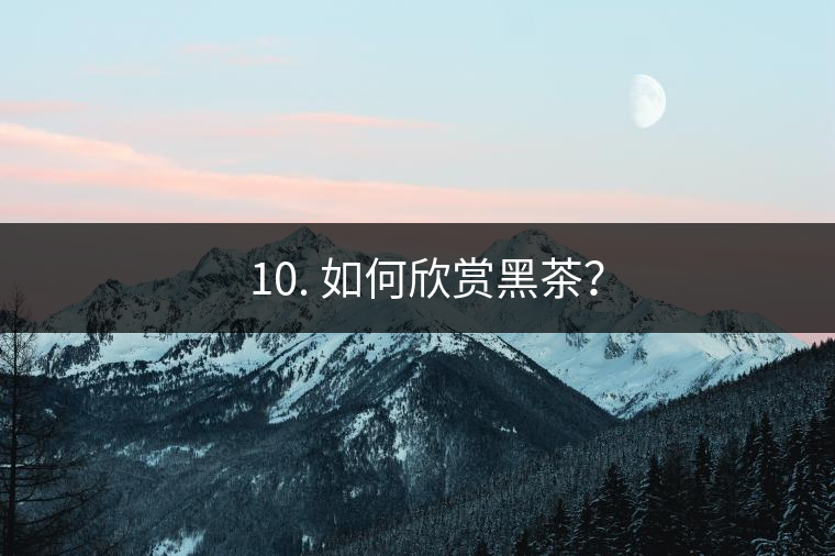 ? 10. 如何欣賞黑茶？