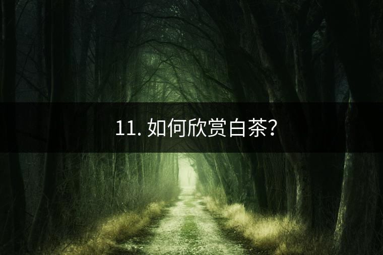 ??11. 如何欣賞白茶？