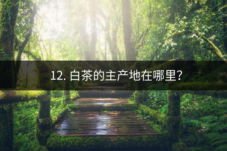 ? 12. 白茶的主產(chǎn)地在哪里？
