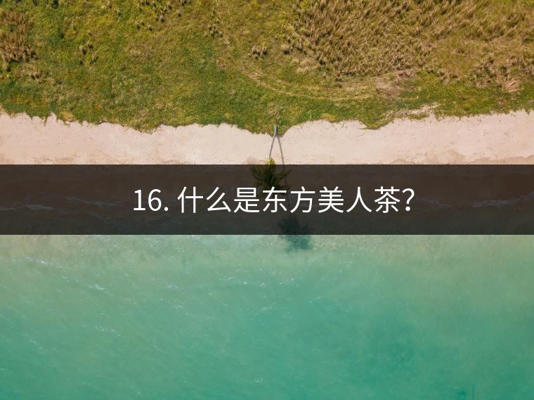 ? 16. 什么是東方美人茶？