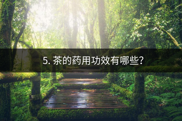 ? 5. 茶的藥用功效有哪些？