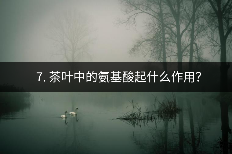 ? 7. 茶葉中的氨基酸起什么作用？