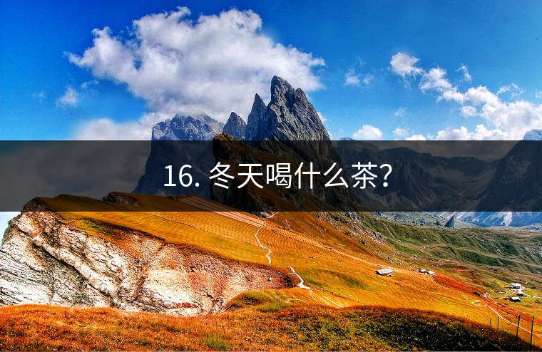 ? 16. 冬天喝什么茶？