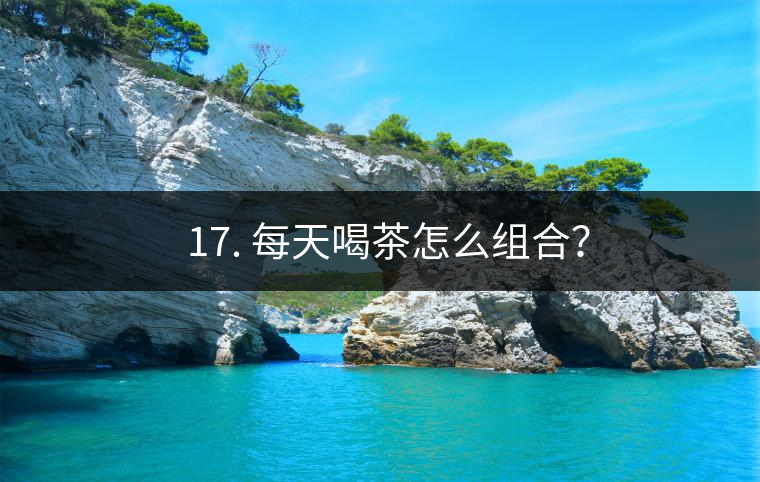 ? 17. 每天喝茶怎么組合？