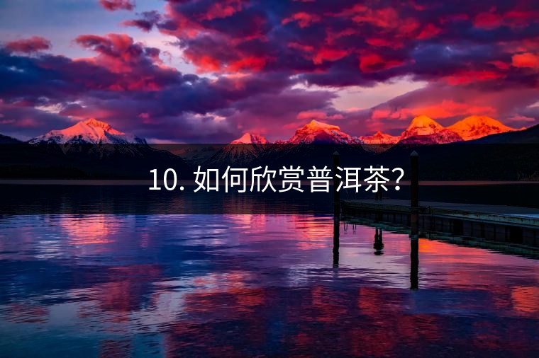 ? 10. 如何欣賞普洱茶？
