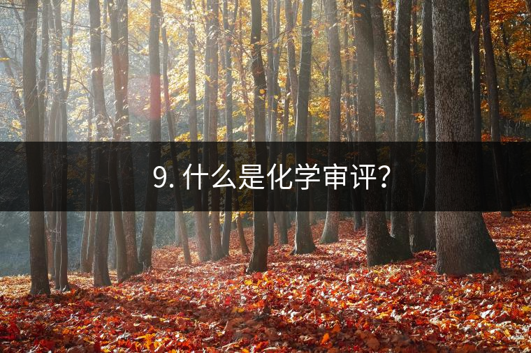 ? 9. 什么是化學(xué)審評？