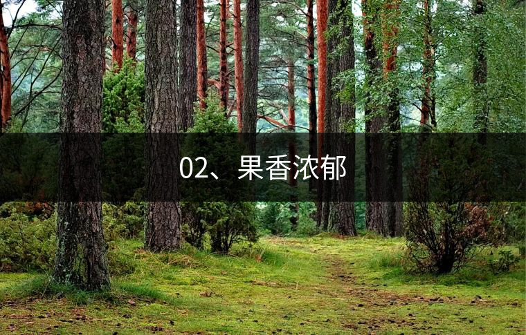 02、果香濃郁