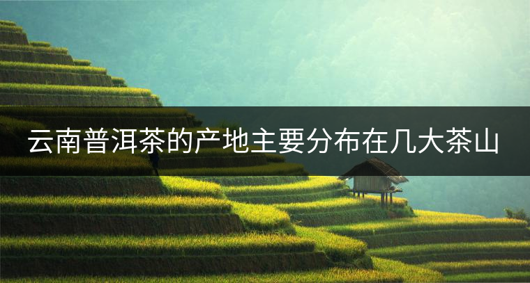 云南普洱茶的產(chǎn)地主要分布在幾大茶山，普洱茶古茶山以瀾滄江為界劃分為