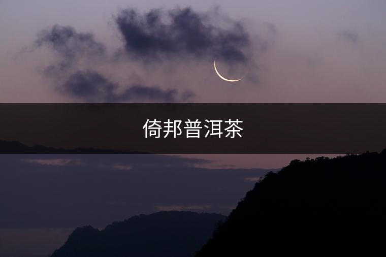 倚邦普洱茶 倚邦普洱茶