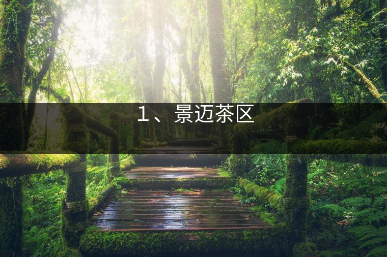 １、景邁茶區(qū)
?