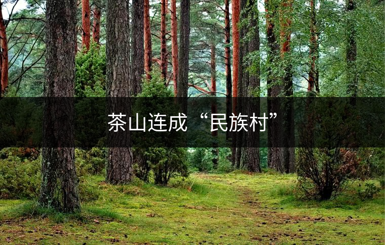 茶山連成“民族村”
