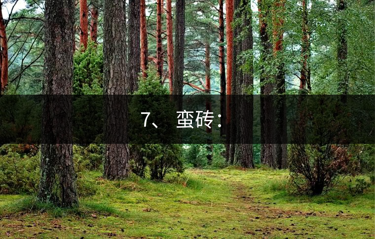 7、 蠻磚：?