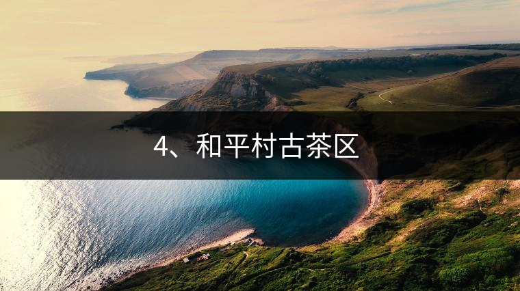 4、和平村古茶區(qū) ?