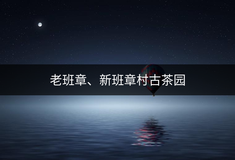 老班章、新班章村古茶園