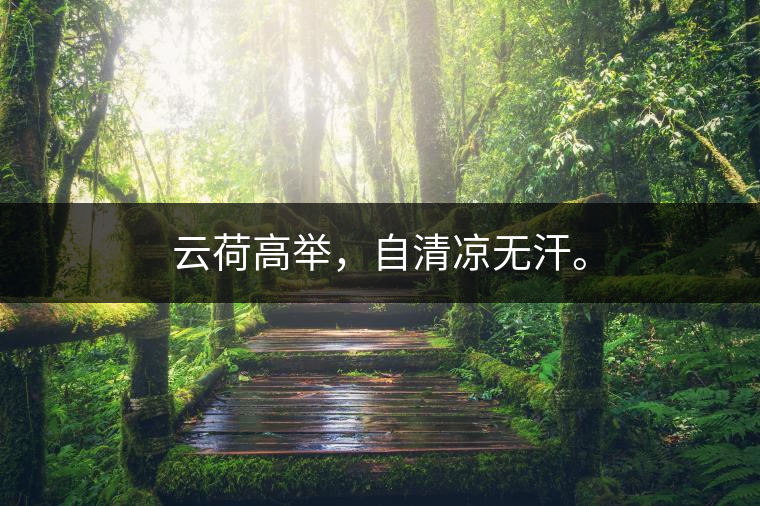 云荷高舉，自清涼無汗。