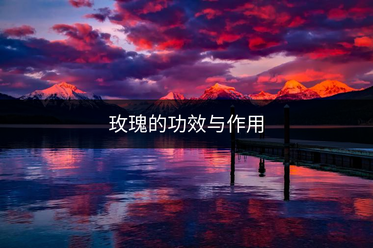 玫瑰的功效與作用