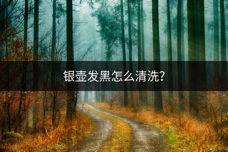 銀壺發(fā)黑怎么清洗？