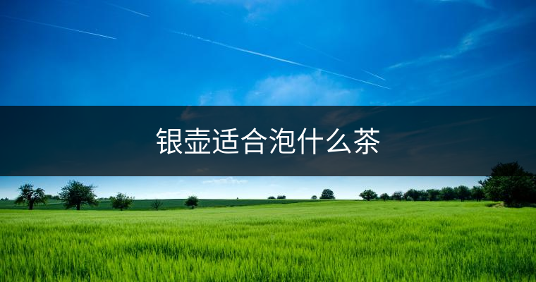 銀壺適合泡什么茶