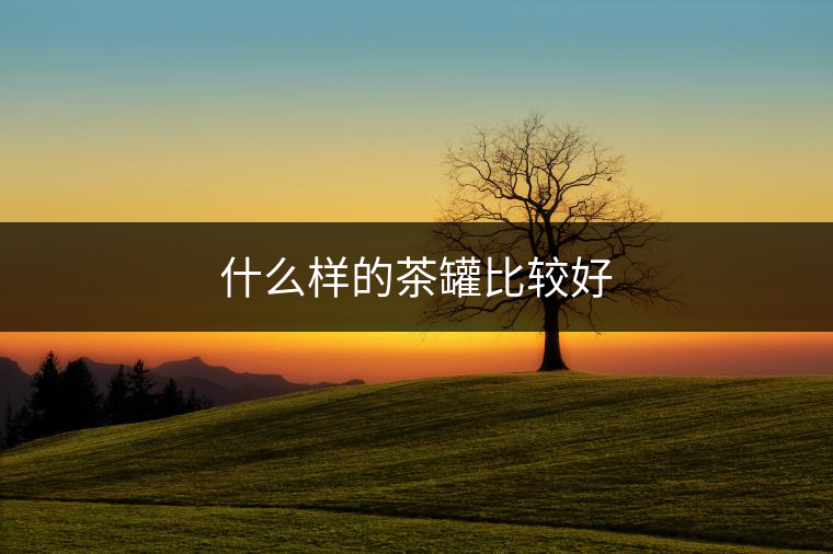 什么樣的茶罐比較好