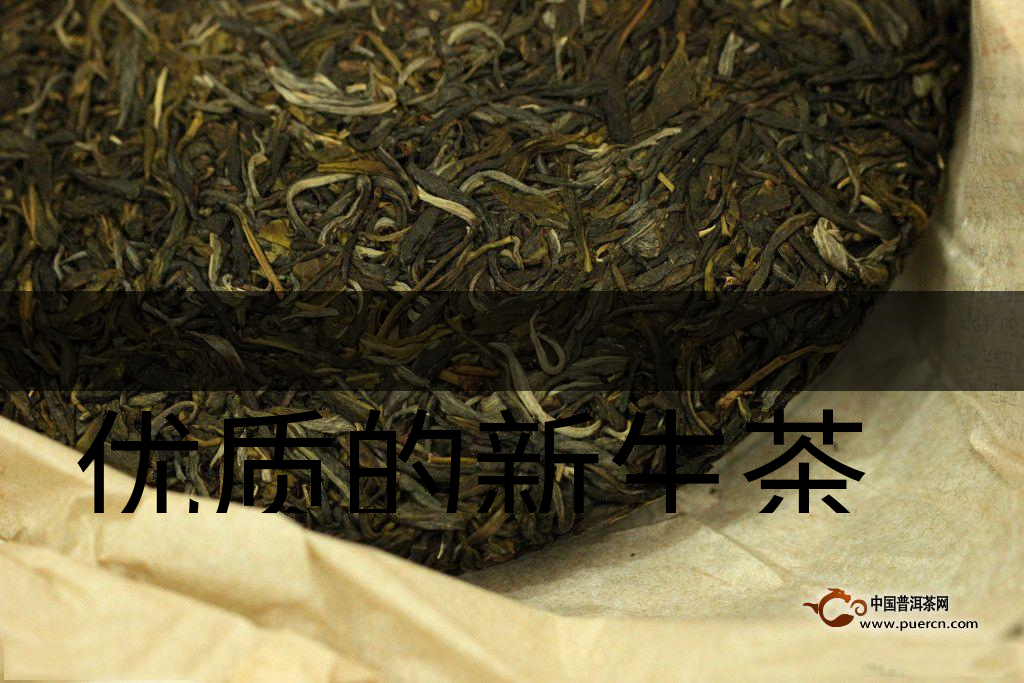 優(yōu)質(zhì)的新生茶是什么樣的？
