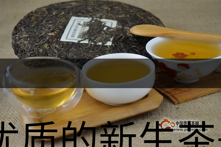 優(yōu)質(zhì)的新生茶是什么樣的？-1