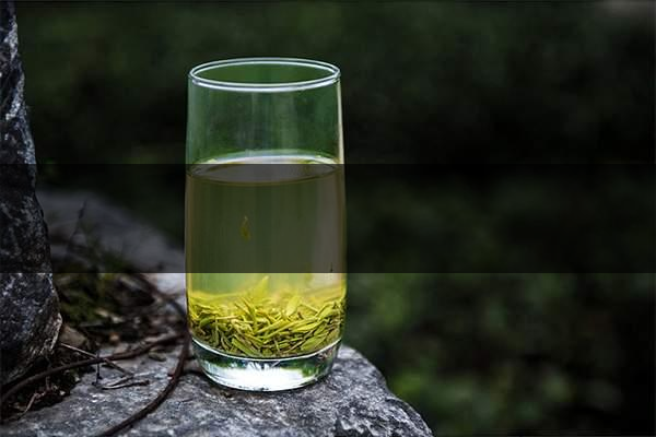 pick春茶攻略！