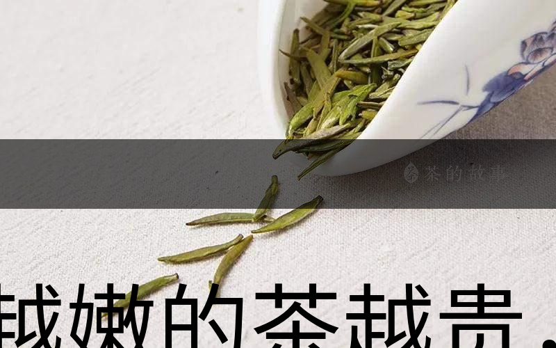 越嫩的茶越貴，但越貴的茶就越好嗎？-1